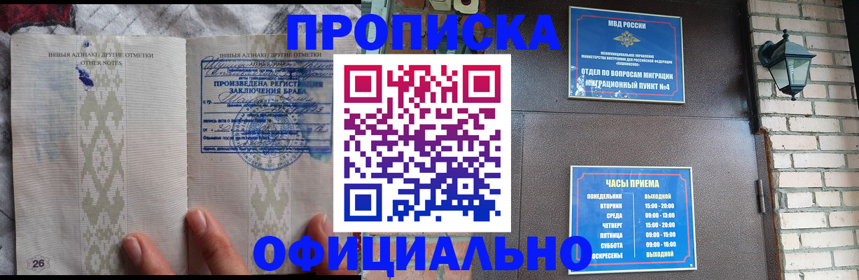 прописка поиск в Никольском